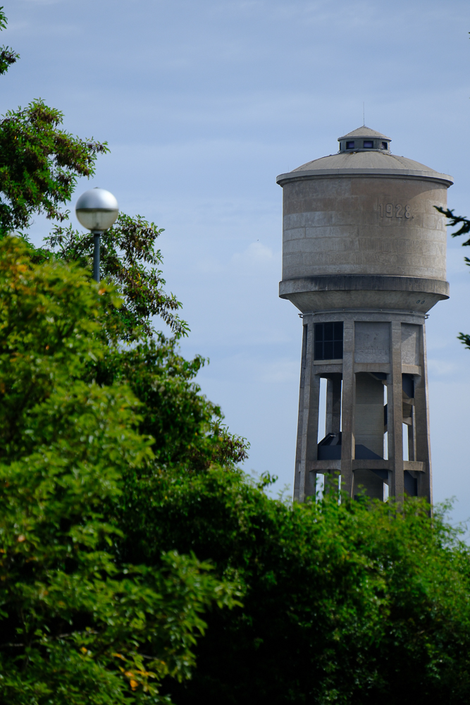WildDucks_Petanque_2025_035
