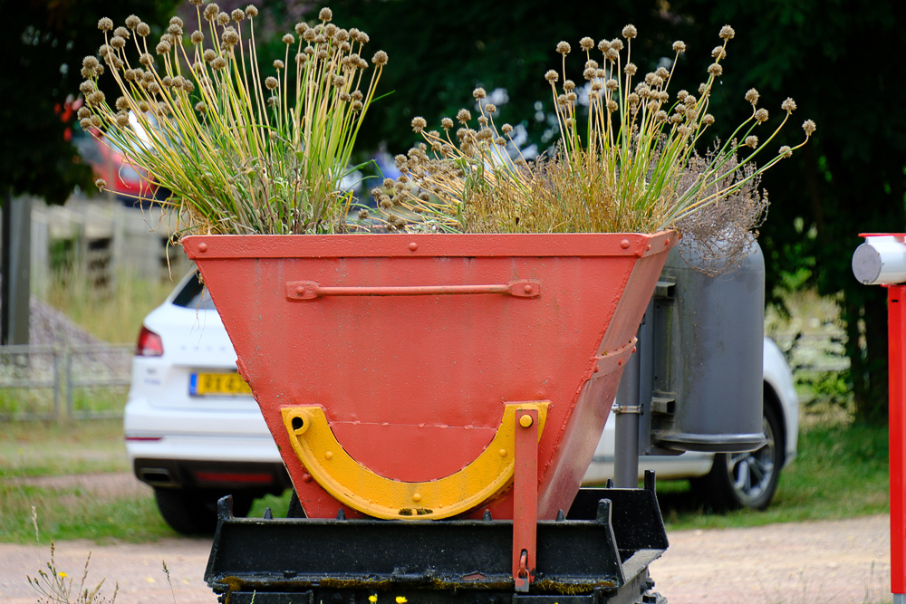 WildDucks_Petanque_2025_077