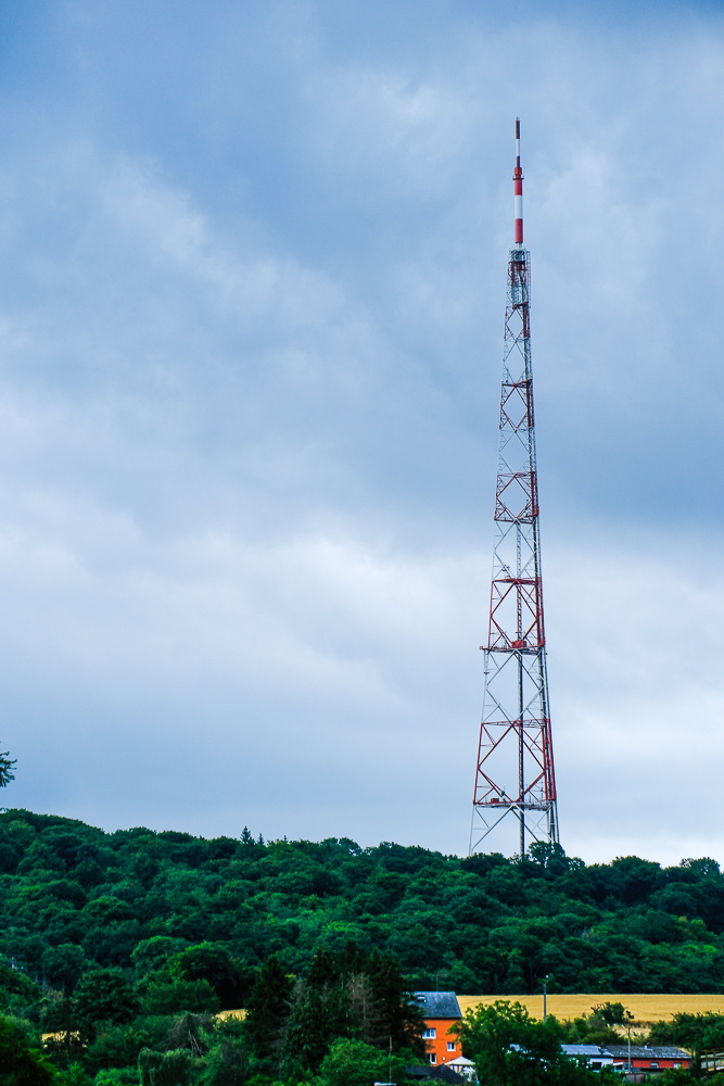 WildDucks_Petanque_2025_110