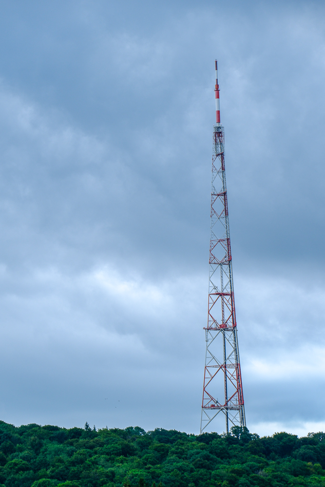 WildDucks_Petanque_2025_111